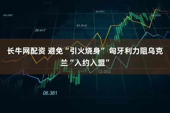 长牛网配资 避免“引火烧身” 匈牙利力阻乌克兰“入约入盟”