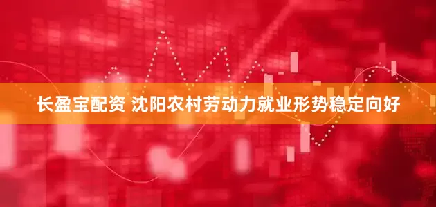 长盈宝配资 沈阳农村劳动力就业形势稳定向好