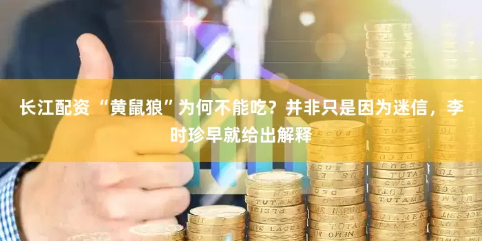 长江配资 “黄鼠狼”为何不能吃？并非只是因为迷信，李时珍早就给出解释